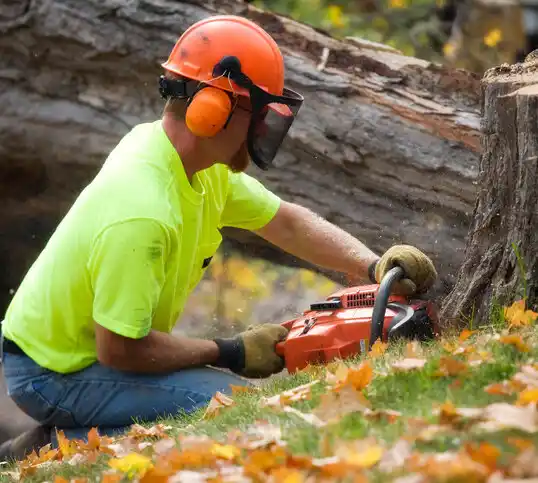 tree services Maryland Heights